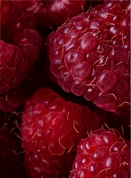 Frozen Fruits and Puree