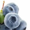Blueberries by JFoods