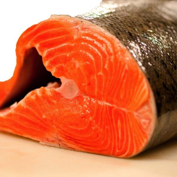 Salmon Fish