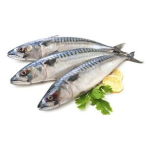 Sardine / Tarli Fish